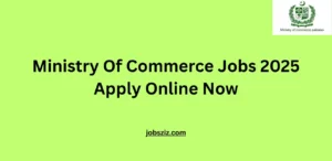 Ministry Of Commerce Jobs 2025 Apply Online Now
