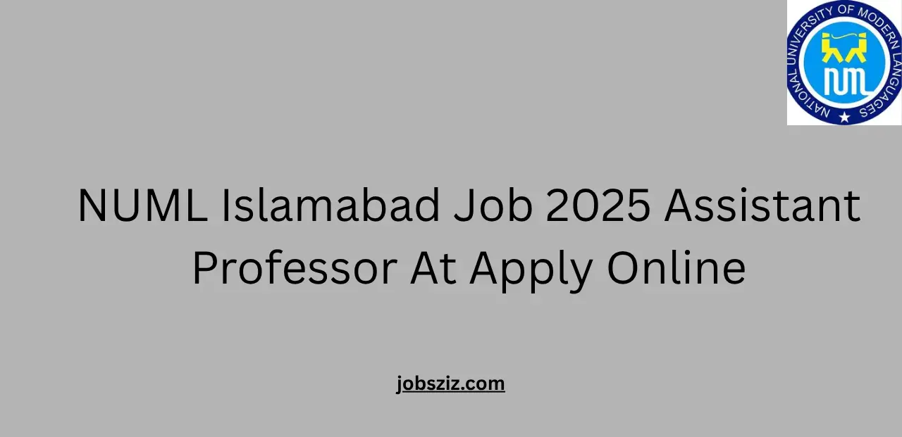 NUML Islamabad Job 2025 Assistant Professor At Apply Online